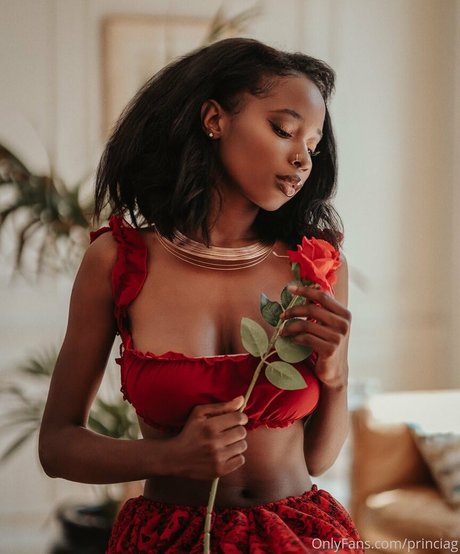 butterflyyg top star archive