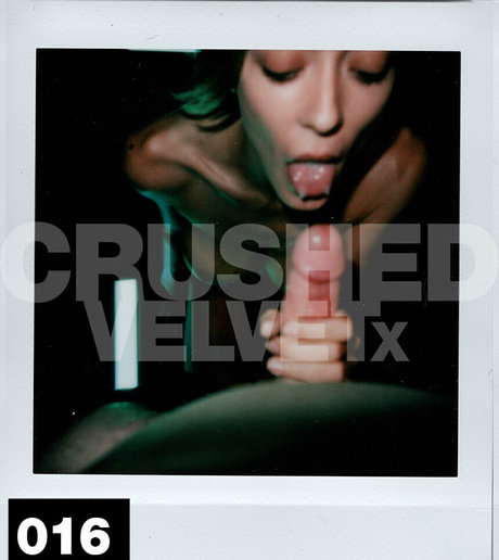 crushedvelvetx star best gallery