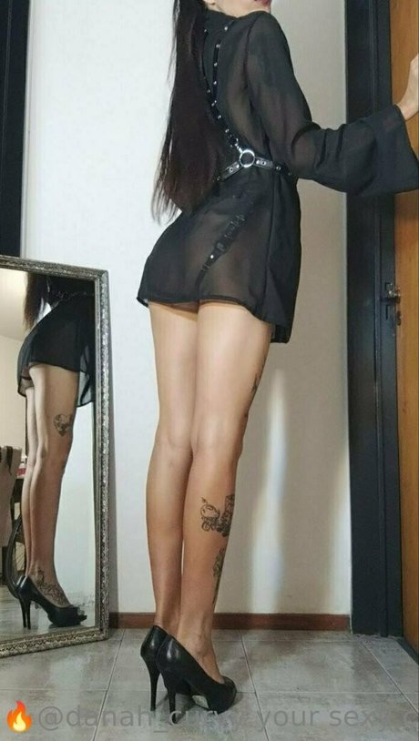 danah curvy best model archive