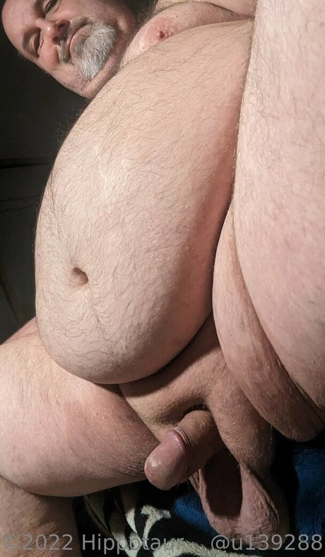 hippotaur sexy star pic