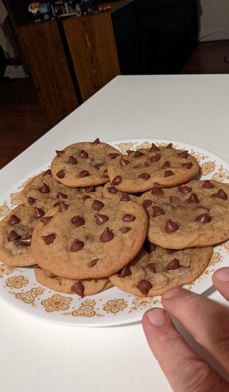 hippotaur best model photo