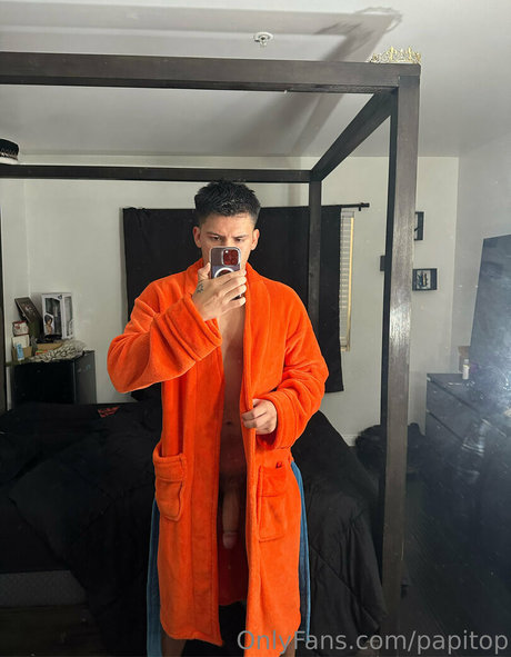 papitop art star pic