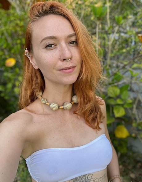 alicerocket pornstar adult photos