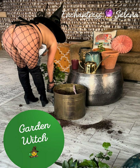 enchantressselenafree pornstar hd archive