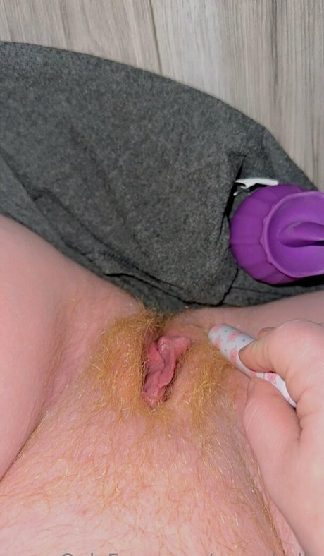 Sassy Holly high quality star images