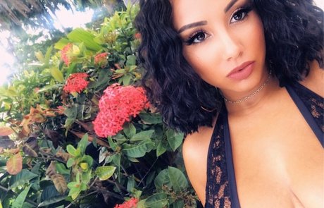 blowjob onlyfans free sex galleries