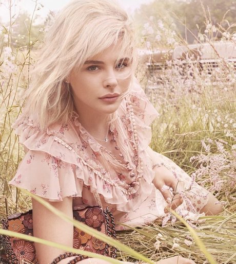 Chloe Grace Moretz star galleries