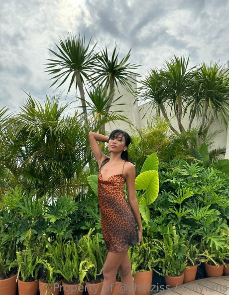 Sheiziss sex pornstar picture