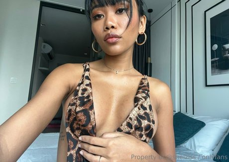 Sheiziss star adult pic