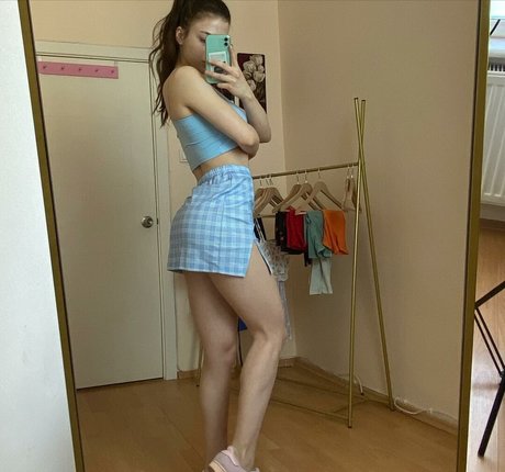 Sudefit model art img