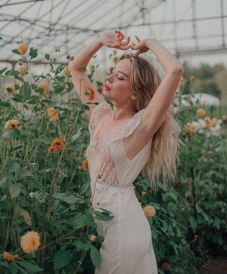 queen astraea star free images