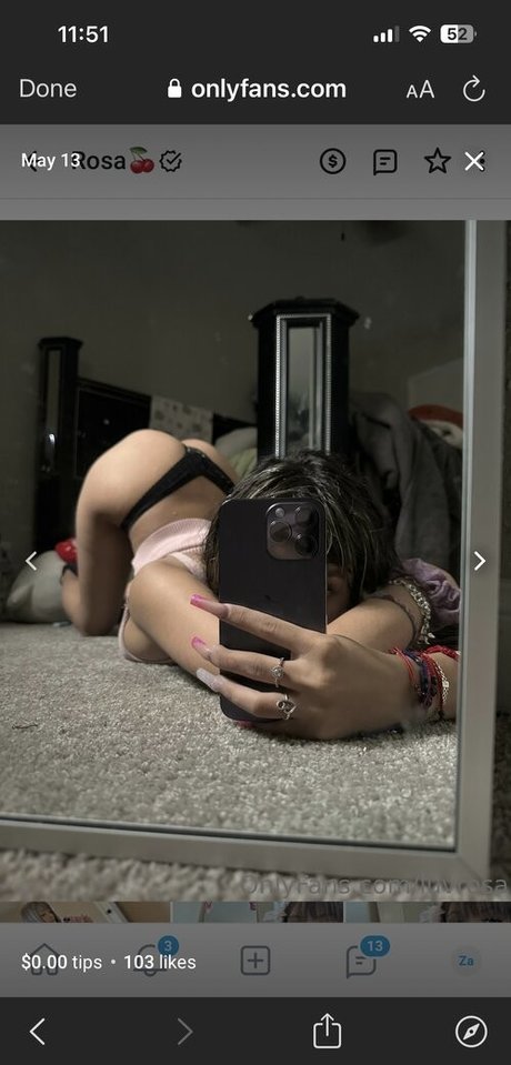 luvrosa nice star archive