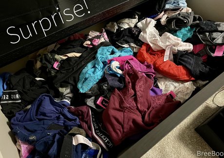 itsbreeboo pornstar sexy galleries