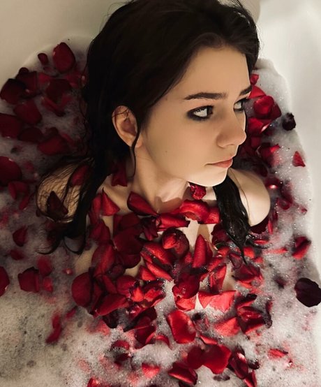 hdsonki star hd gallery