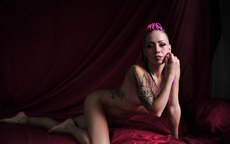 the inkedrabbit beautiful star images