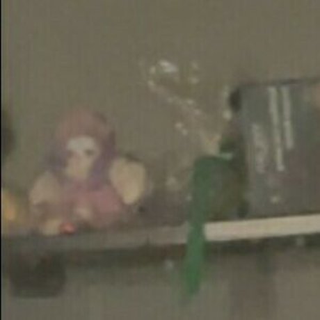 Realcarpetmuncher top model archive