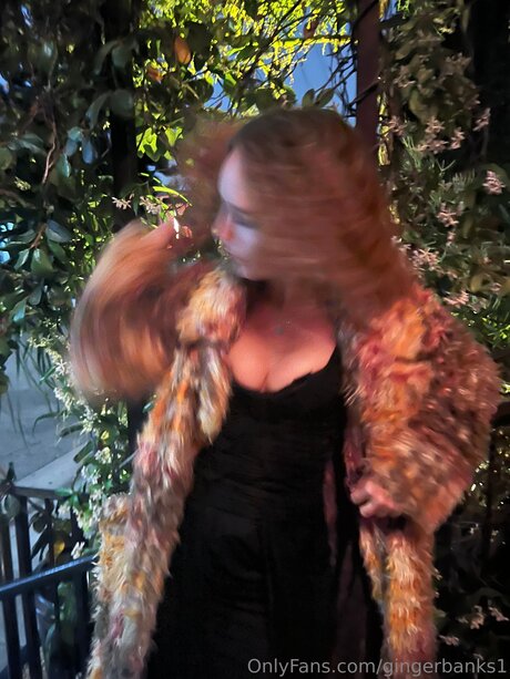 Gingerbanks1 star perfect galleries