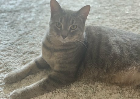 wet pussy onlyfans hot sex picture