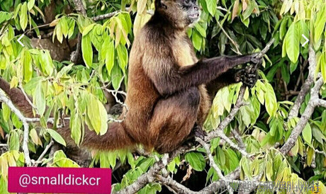 roni lyn41 pornstar xxx images