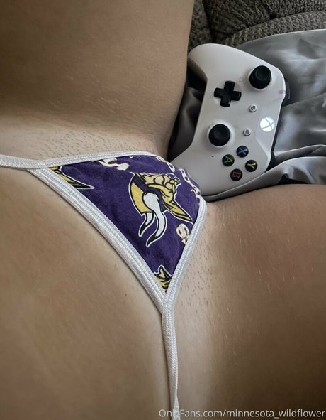 minnesota wildflower pretty star photo