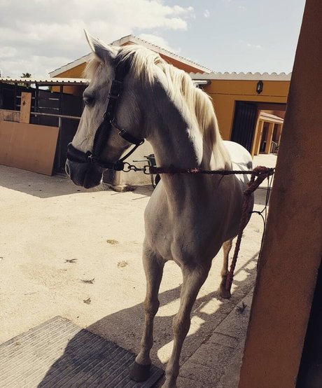 Ming naaa hot actress pic