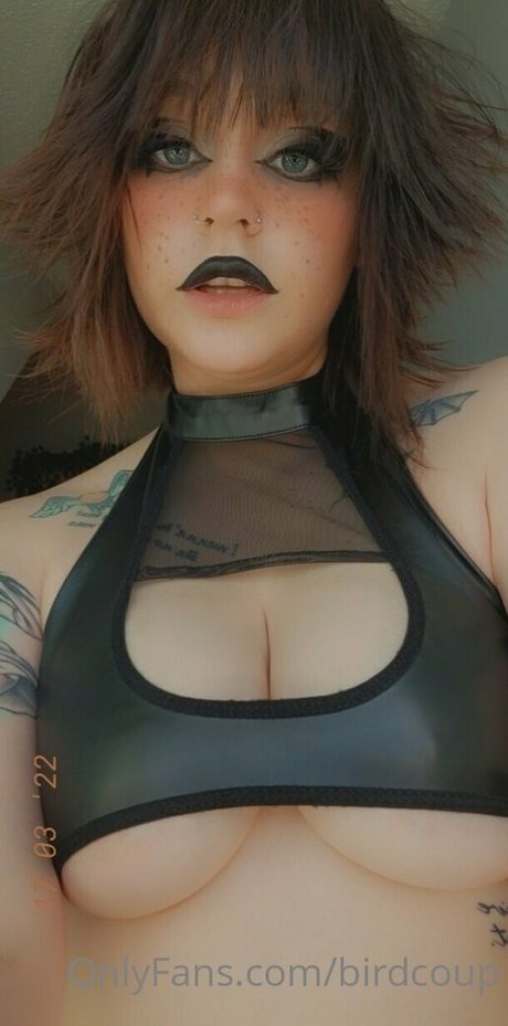 Birdcoup best star image