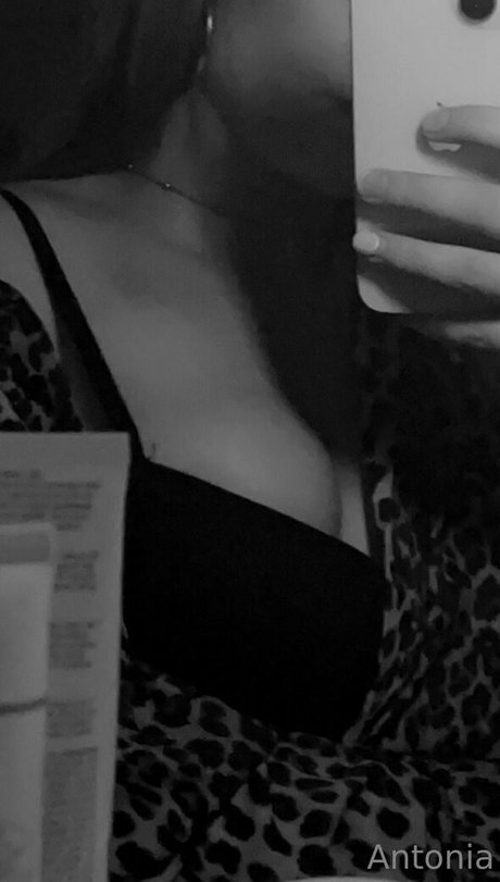 imhotantonia nudes pornstar img