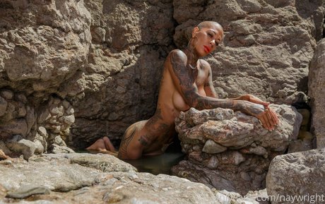 naywright exclusive star gallery