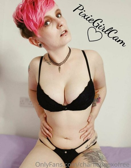 seduction onlyfans hot xxx archive