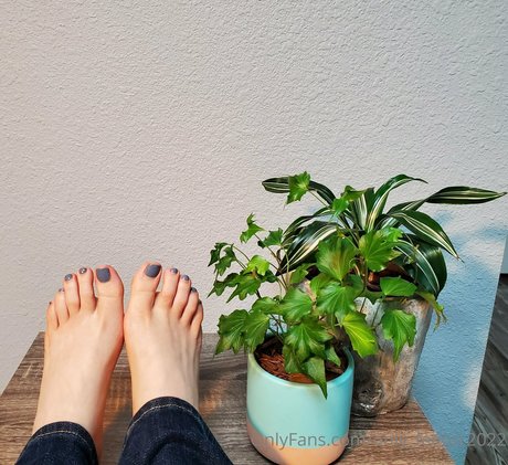 only feetpc2022 nice star galleries