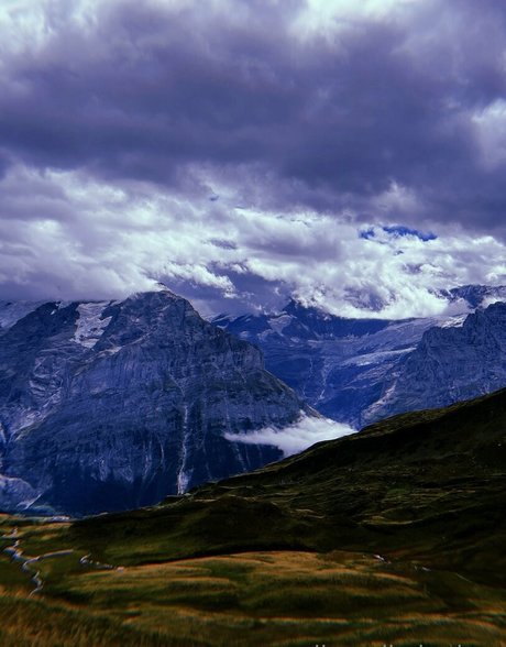 alignedbykarissa actress photos