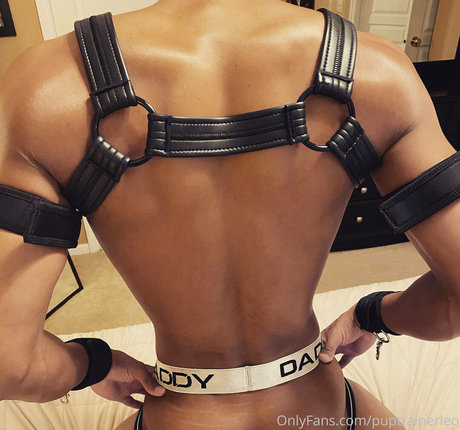 holetrainerleo adult star pictures