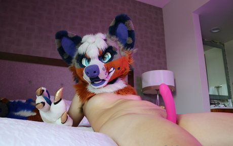 tastymonty hot pornstar gallery