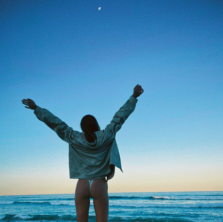 seasharkcensored model art img