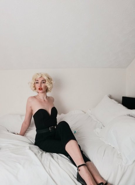 dinkydemure star high quality gallery