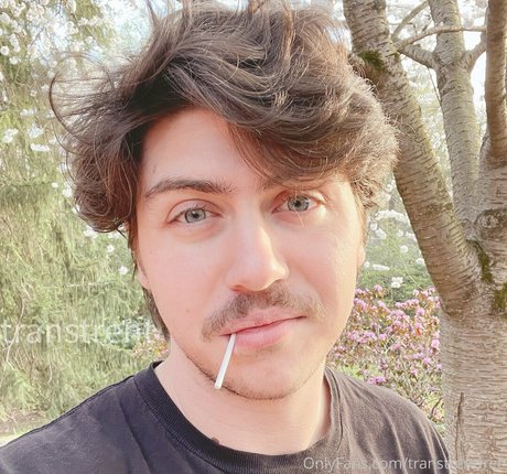 transtrentfree star high quality img