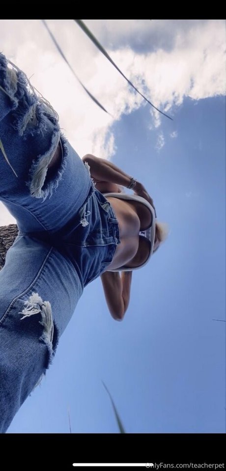 teacherpet best star gallery