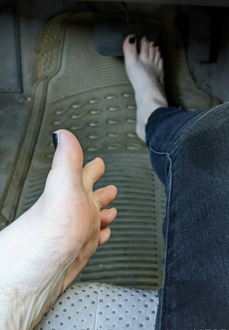 tashad4715 pornstar xxx archive