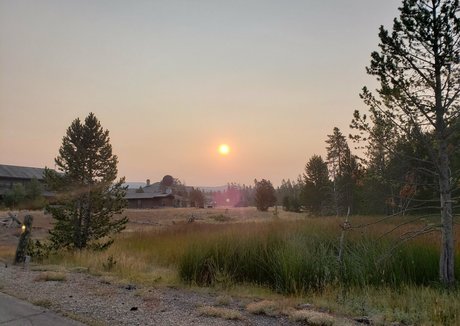 mccoywhatsername star naked galleries