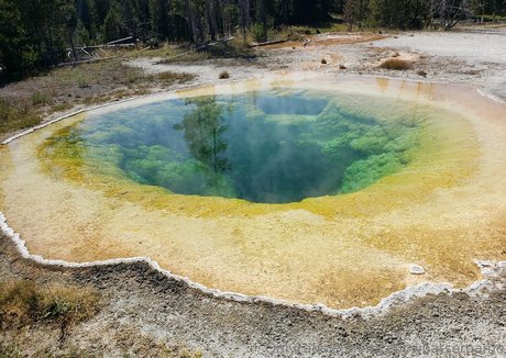 mccoywhatsername nudes pornstar pictures