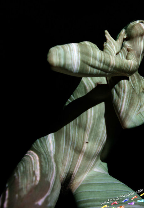 wanderingcinnamon2 star beautiful photos