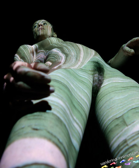 wanderingcinnamon2 best star photo