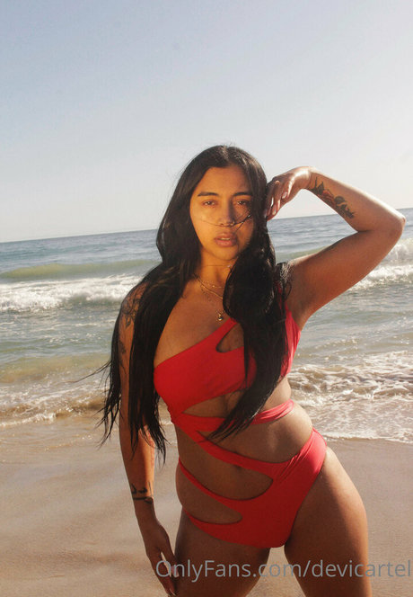 Devicartel nice star galleries