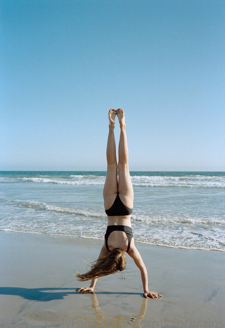 worms forbrains pornstar free images