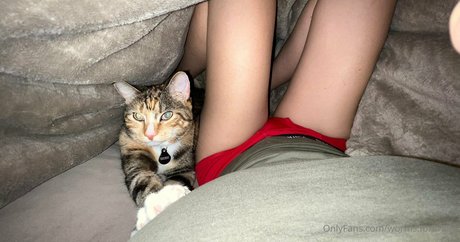 worms forbrains Profile pic