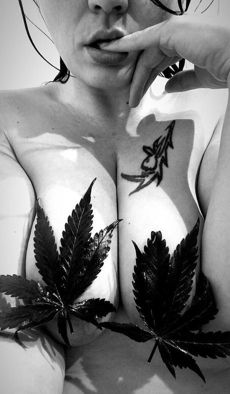 nikkihippy model sexy gallery