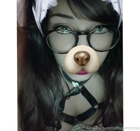 inugamirose high quality model img