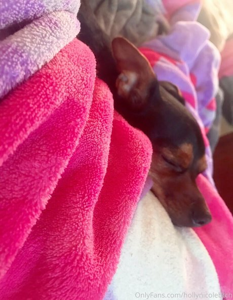 hollynicolebtch model naked image