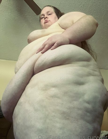 miss curvycat erotic pornstar photos