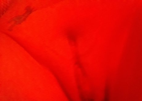 bikini ass onlyfans sexy nude gallery